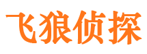 乐平市调查公司